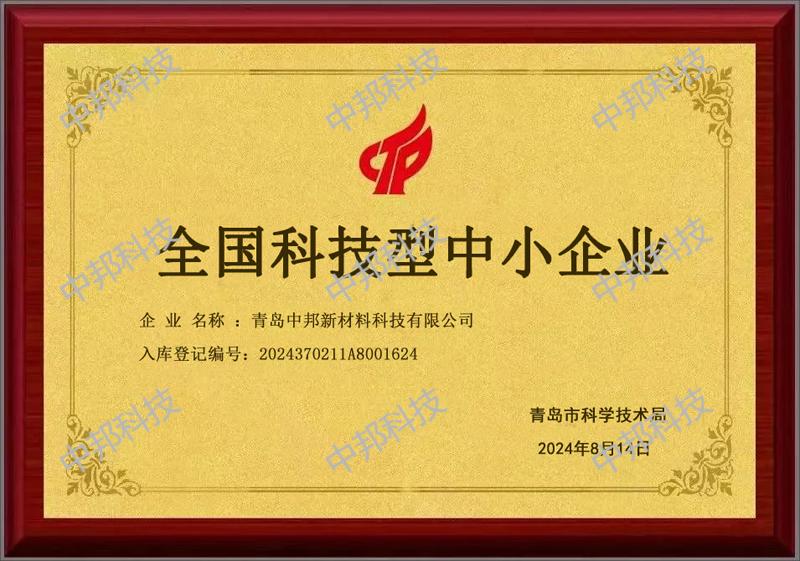 2024年全国科技型中小企业
