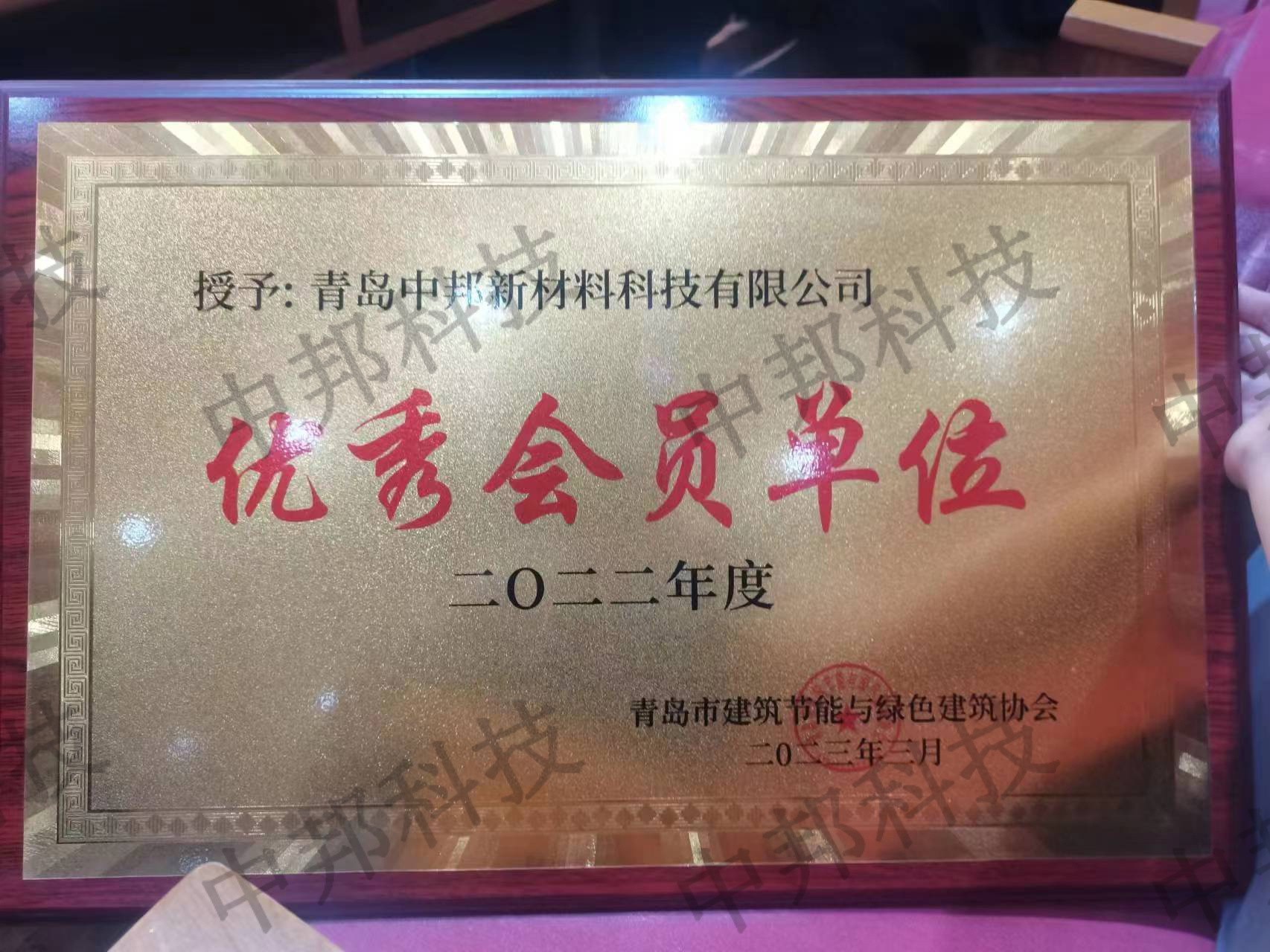 建筑节能与绿色建筑协会优秀会员单位